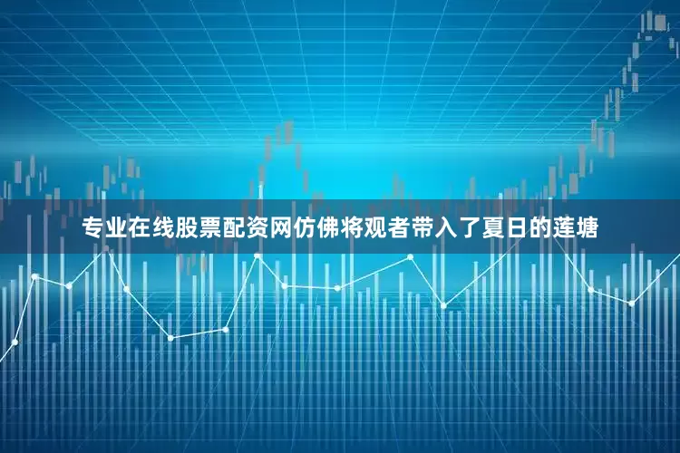 专业在线股票配资网仿佛将观者带入了夏日的莲塘