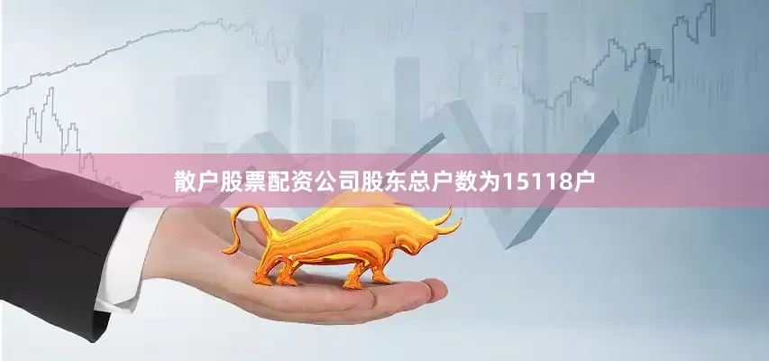 散户股票配资公司股东总户数为15118户
