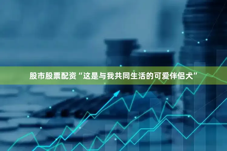 股市股票配资“这是与我共同生活的可爱伴侣犬”