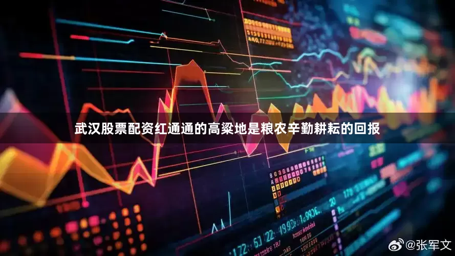 武汉股票配资红通通的高粱地是粮农辛勤耕耘的回报