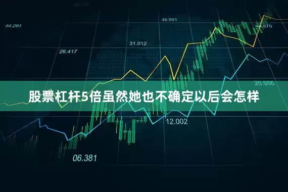 股票杠杆5倍虽然她也不确定以后会怎样