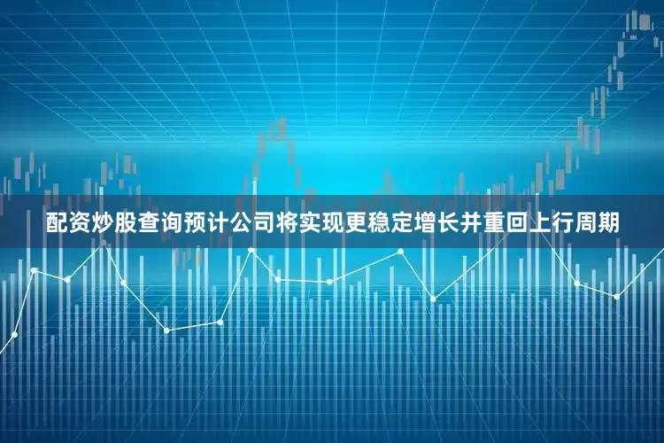 配资炒股查询预计公司将实现更稳定增长并重回上行周期