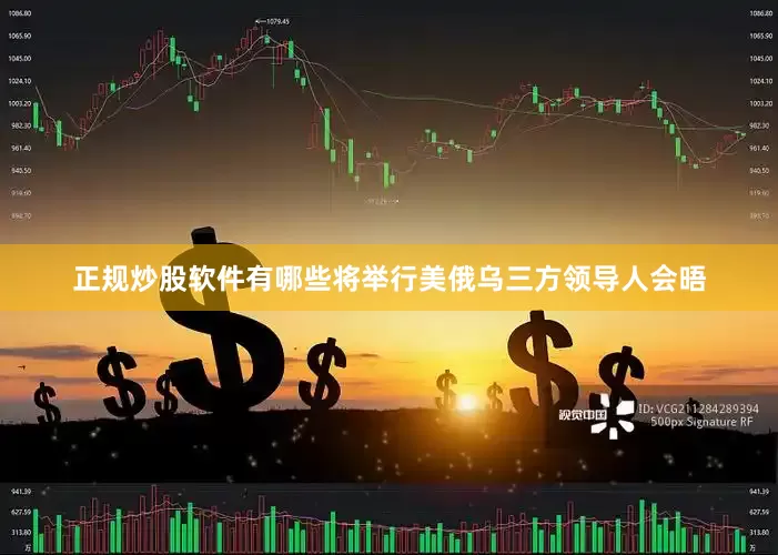 正规炒股软件有哪些将举行美俄乌三方领导人会晤